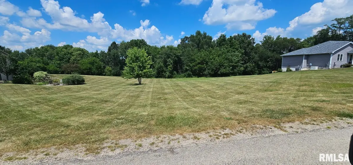203 COTTONWOOD CT, Williamsfield, IL 61489