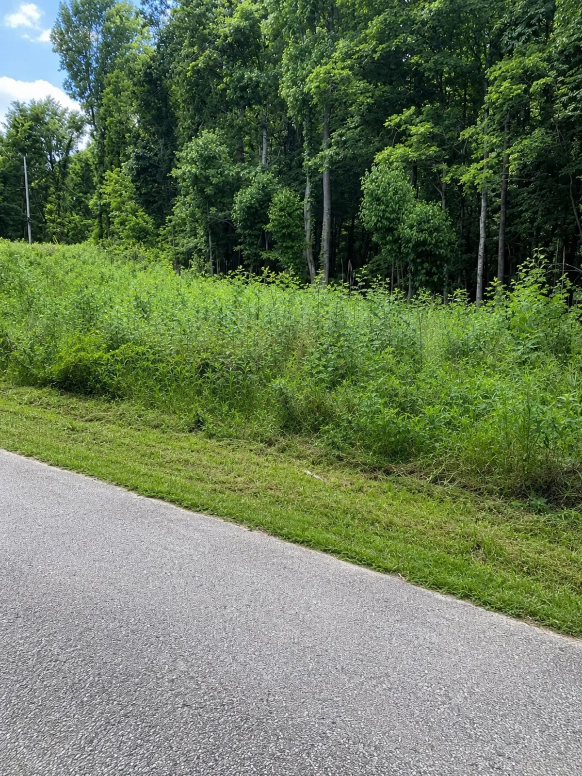 0 Chandler Rd, Woodlawn, TN 37191