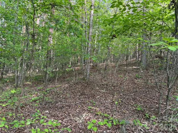 0 Shenandoah DR #3B, Spindale, NC 28160