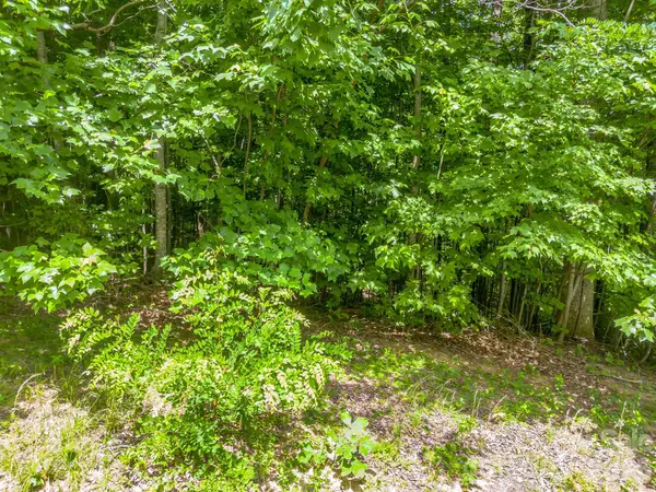 Lot 29 Matho TRCE #29, Lake Lure, NC 28746