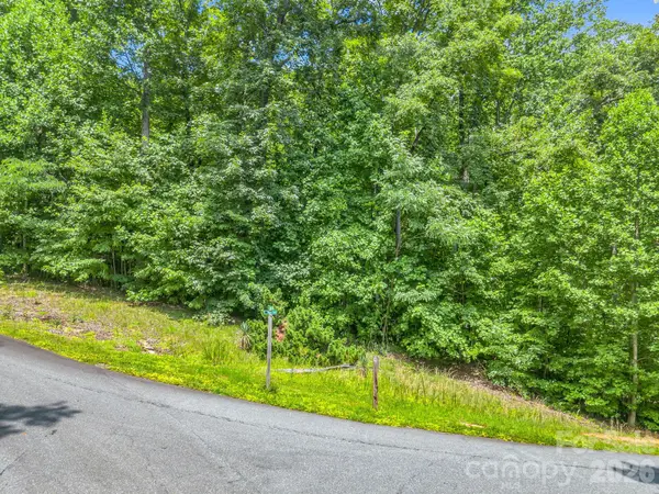 Lot 29 Matho TRCE #29, Lake Lure, NC 28746