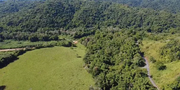 Carr 424 BO GUACIO, San Sebastian, PR 00685