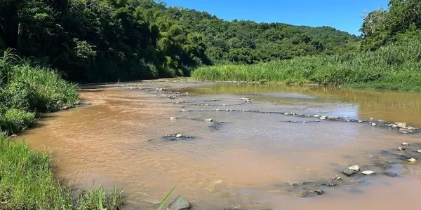 Carr 424 BO GUACIO, San Sebastian, PR 00685