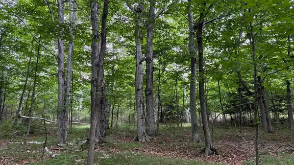 AIRPORT RD, Washington Island, WI 54246