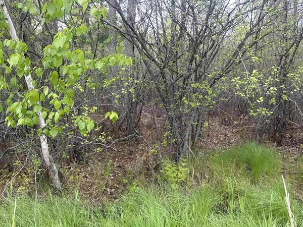 MCGRAW ST, Peshtigo, WI 54157