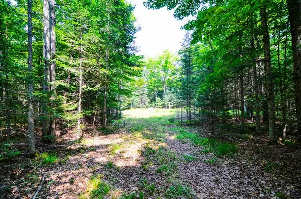 W15310 OLD J RD, Athelstane, WI 54104
