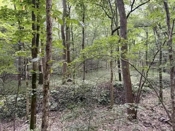 58192 BUCK CREEK RD, Ferryville, WI 54628