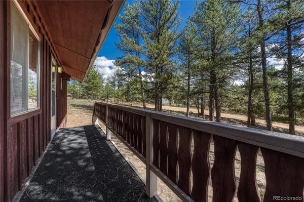 101 Dunlap DR, Florissant, CO 80816