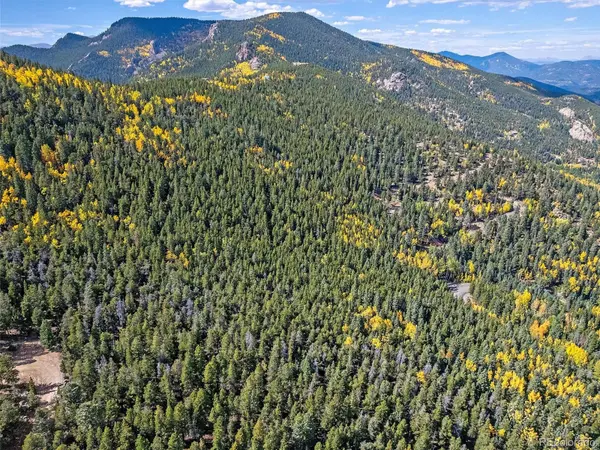 000 Edward DR, Conifer, CO 80433