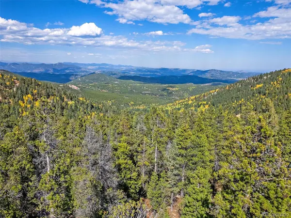 000 Edward DR, Conifer, CO 80433