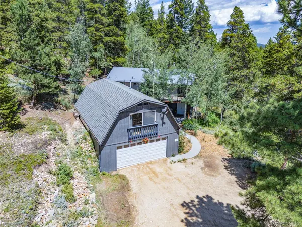 415 Upper Travis Gulch RD, Black Hawk, CO 80422