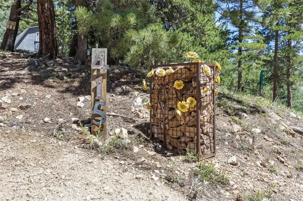 415 Upper Travis Gulch RD, Black Hawk, CO 80422