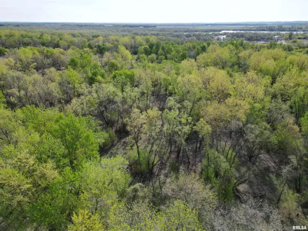 0 ISLAND LN, Beardstown, IL 62618