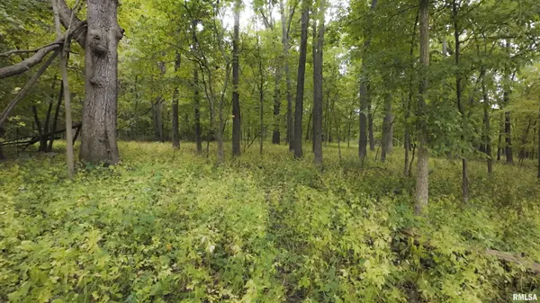 0000 N DAILY RD, Princeville, IL 61559