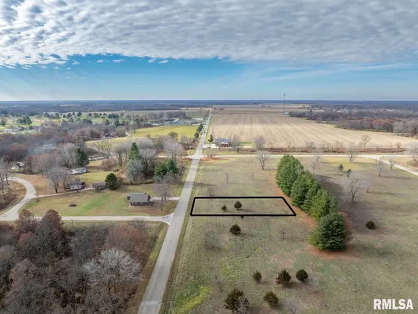247 SOUTH LAKEVIEW RD, Dahinda, IL 61428