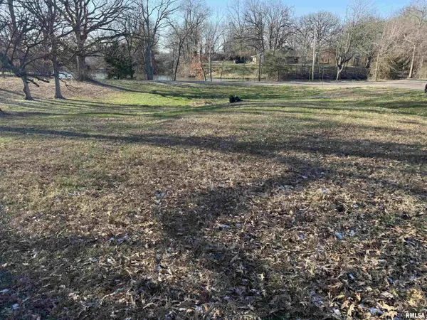 Lot 10 LAKESIDE DR, Taylorville, IL 62568