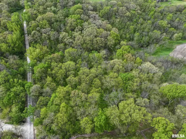 WOODLAND DR, Sherrard, IL 61281