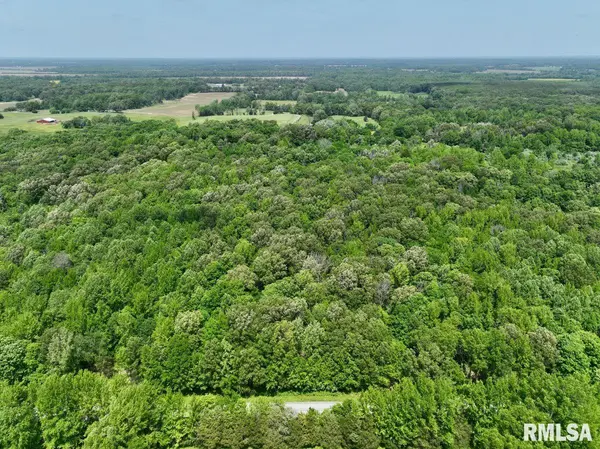 001 Robinson Hill RD, Stonefort, IL 62987