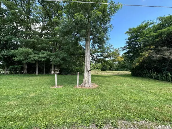 Lots 1-16 Jackson and Short ST, Virden, IL 62690