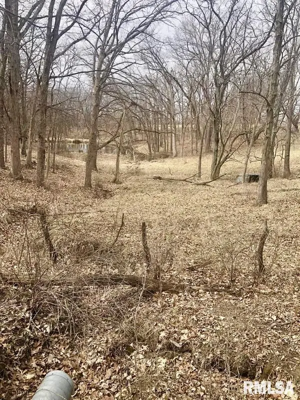 0 COUNTY RD, Mt Sterling, IL 62353