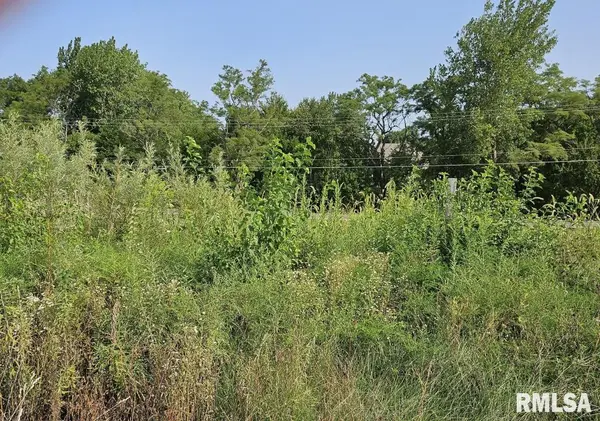 Lot 100 BRITTANY CT, Metamora, IL 61548