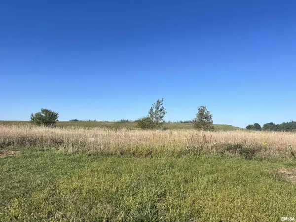 Lot 102 BRITTANY CT, Metamora, IL 61548