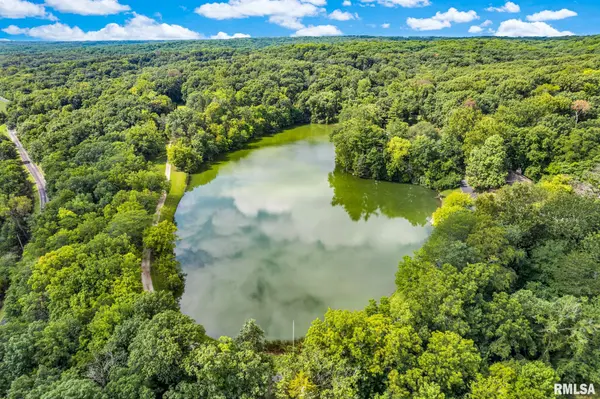 N IVY LAKE RD, Chillicothe, IL 61523