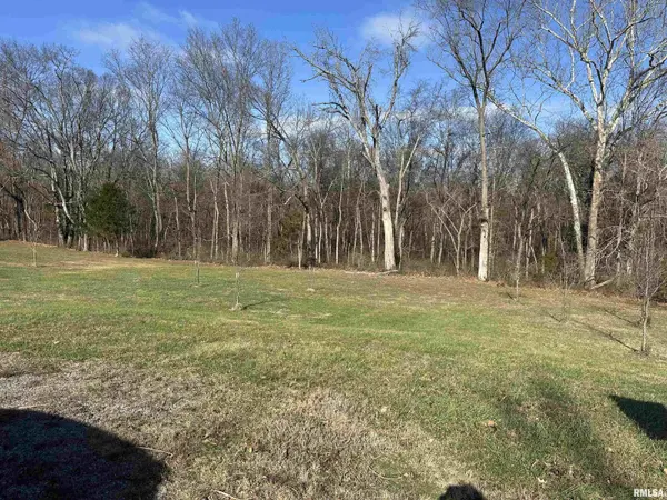 0000 JOYCE LN, Vienna, IL 62995