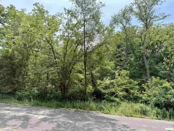 106 MAYWOOD AVE, Creve Coeur, IL 61610