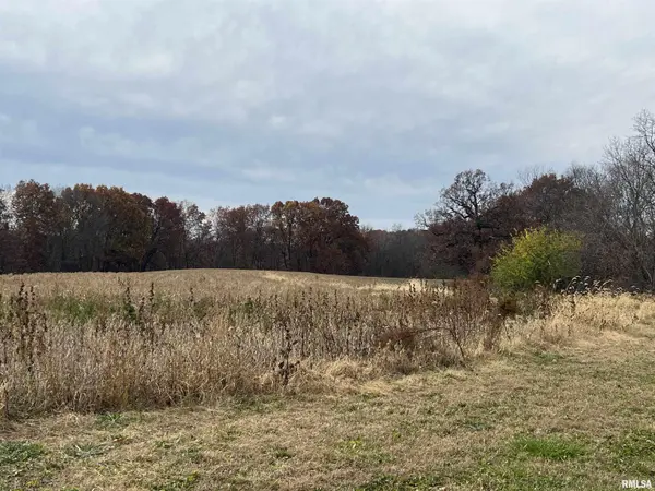 N TARTERS FERRY LN, Smithfield, IL 61477