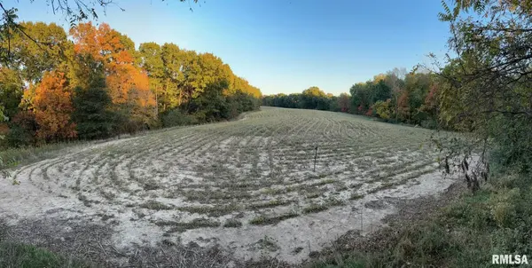 N TARTERS FERRY LN, Smithfield, IL 61477