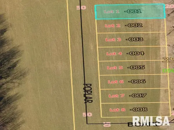 1-8 Lot, Elkville, IL 62932
