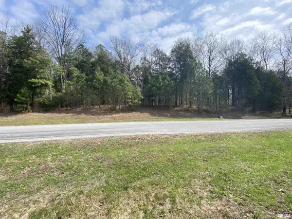 396 & 399 Parrish Ridge RD, Goreville, IL 62939