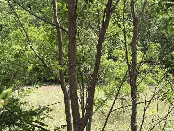 0 S ROBINIA GRV, Havana, IL 62644