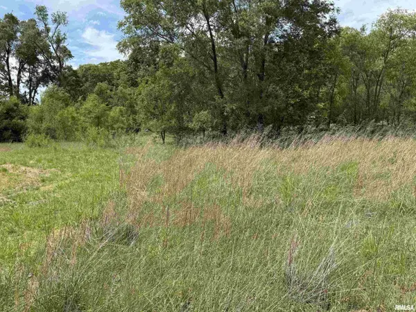 0 S ROBINIA GRV, Havana, IL 62644