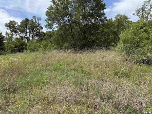 0 S ROBINIA GRV, Havana, IL 62644