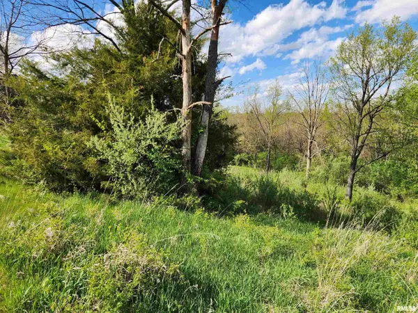 376 E TOWNHALL RD, Metamora, IL 61548