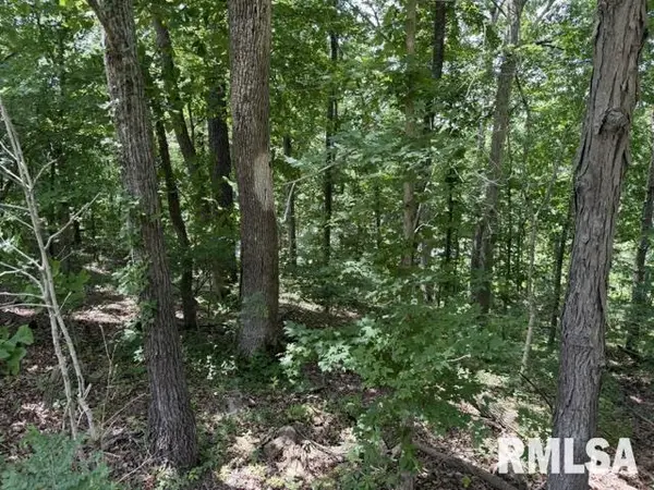 000 Wagon Creek LOOP, Creal Springs, IL 62922