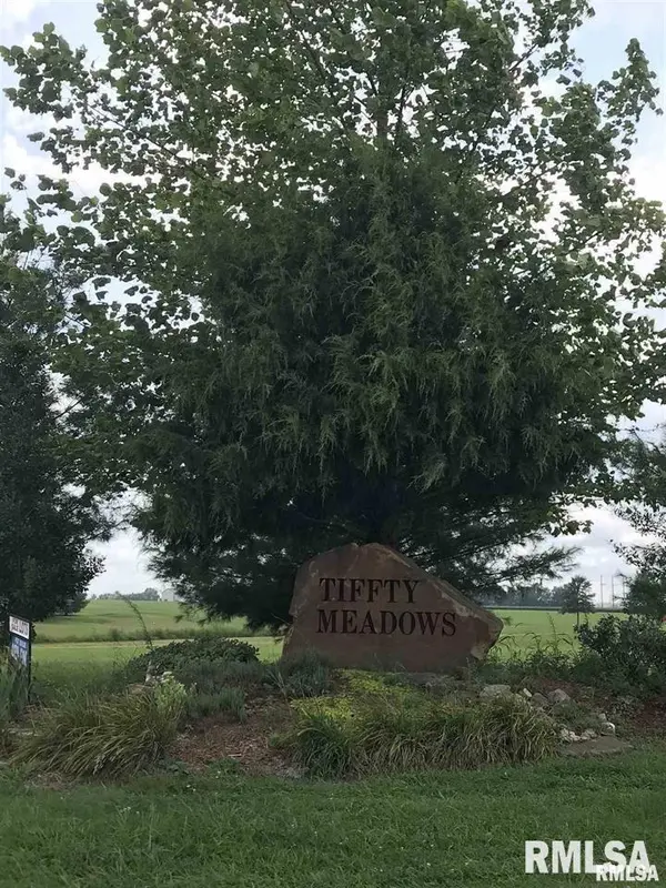 Lot 1&2 RALEIGH RD, Eldorado, IL 62930