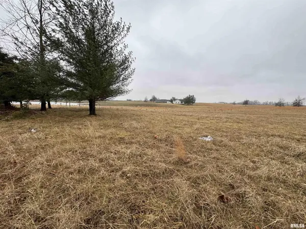 Lot 1&2 RALEIGH RD, Eldorado, IL 62930