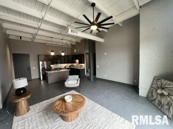 1001 SW ADAMS ST #303, Peoria, IL 61602