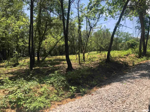 Lot 2 MCKEE RD, Peoria, IL 61607