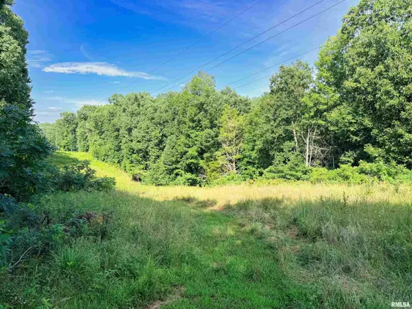 1665 Pulleys Mill RD, Goreville, IL 62939