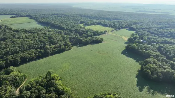 0 SINGING WOODS RD, Edelstein, IL 61526