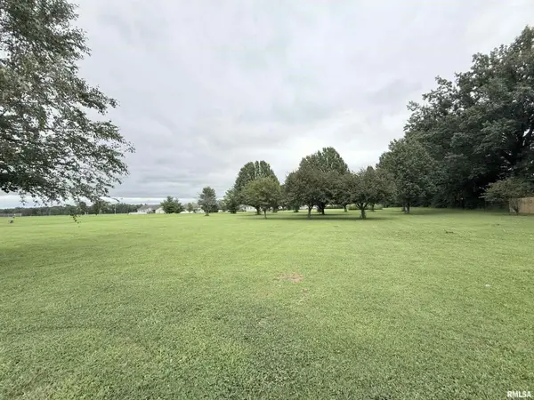 710 CREEKSIDE LN, Desoto, IL 62924