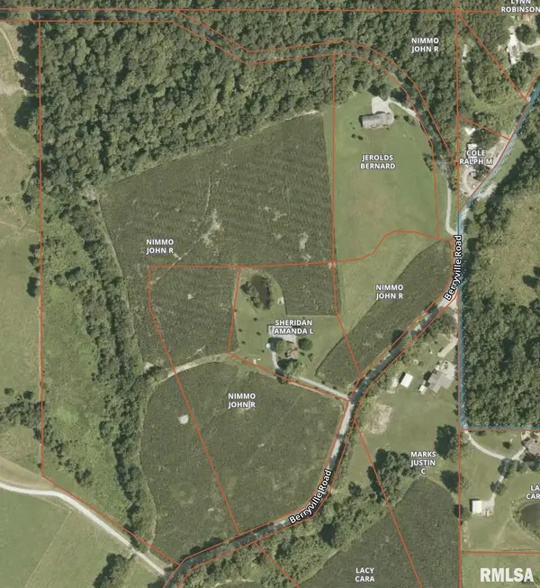 TBD Berryville RD, Jonesboro, IL 62952