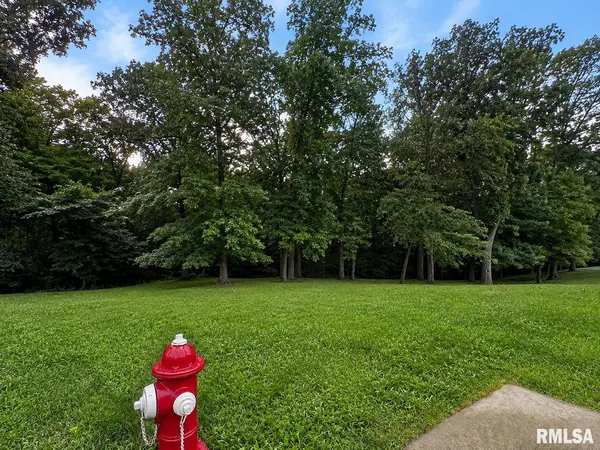 Lot 189 S COPPERPOINT DR, Dunlap, IL 61525