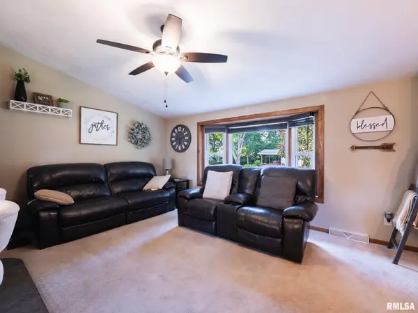 436 IDLEWHILE DR, Farmington, IL 61531