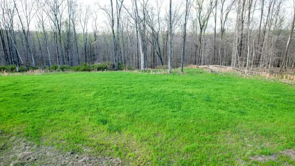 0 Bell Hollow Road, Vanleer, TN 37181