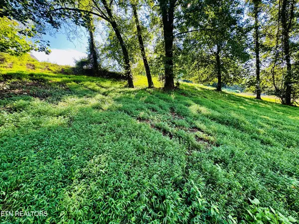 207 Clyde Ed Rd, Kodak, TN 37764